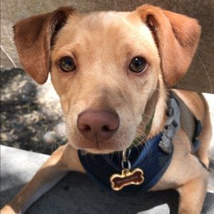 Meet your Posher, Danielle